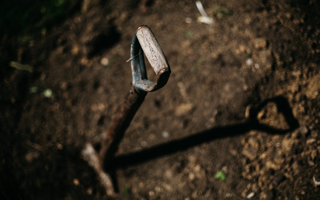 The No Dig Approach to Gardening