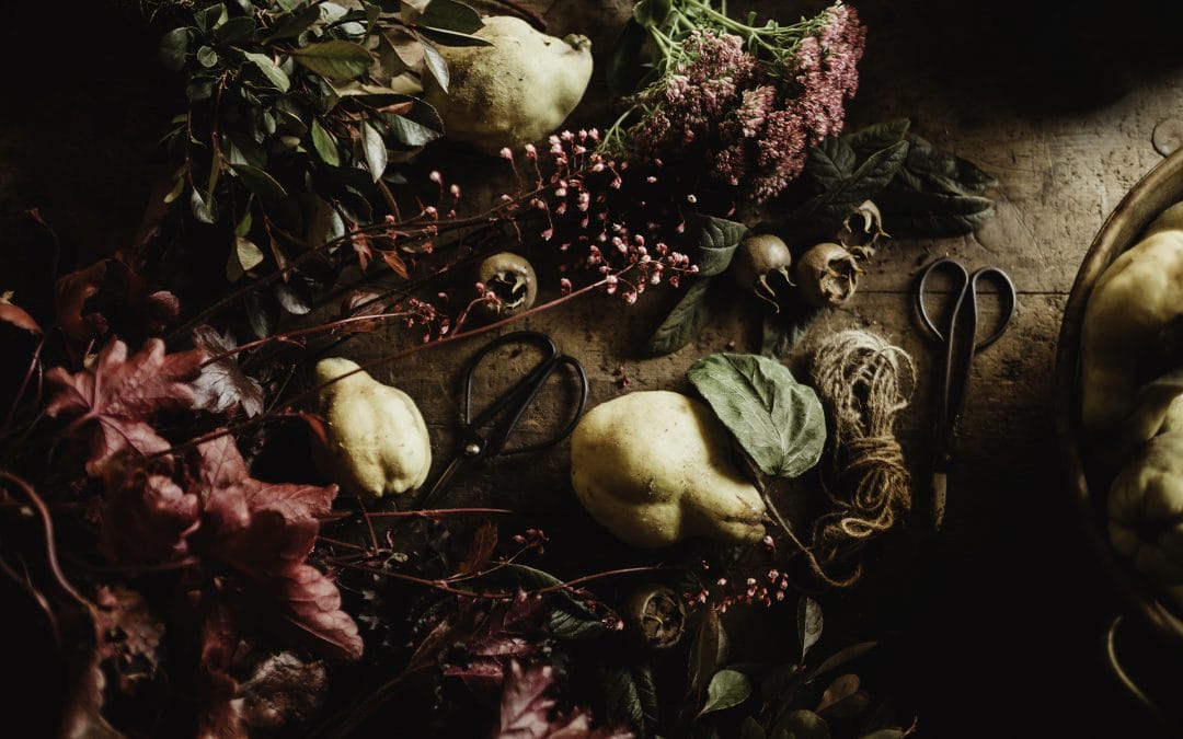 Gardening Tips for October