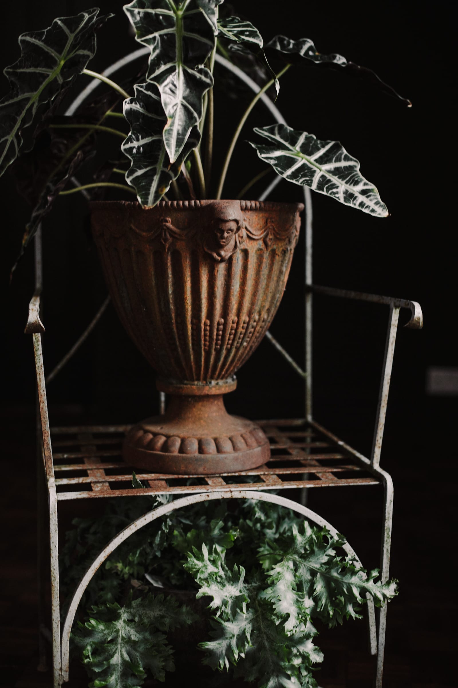 Weathered Cast Iron Garden Urn Planter - Image 4