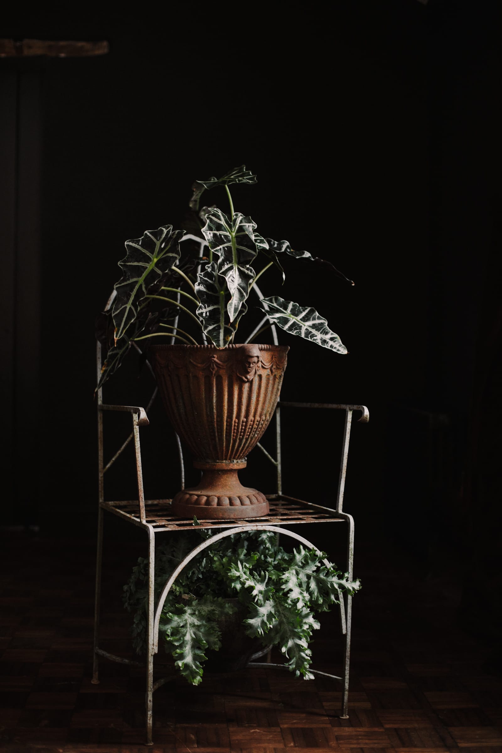 Weathered Cast Iron Garden Urn Planter - Image 3