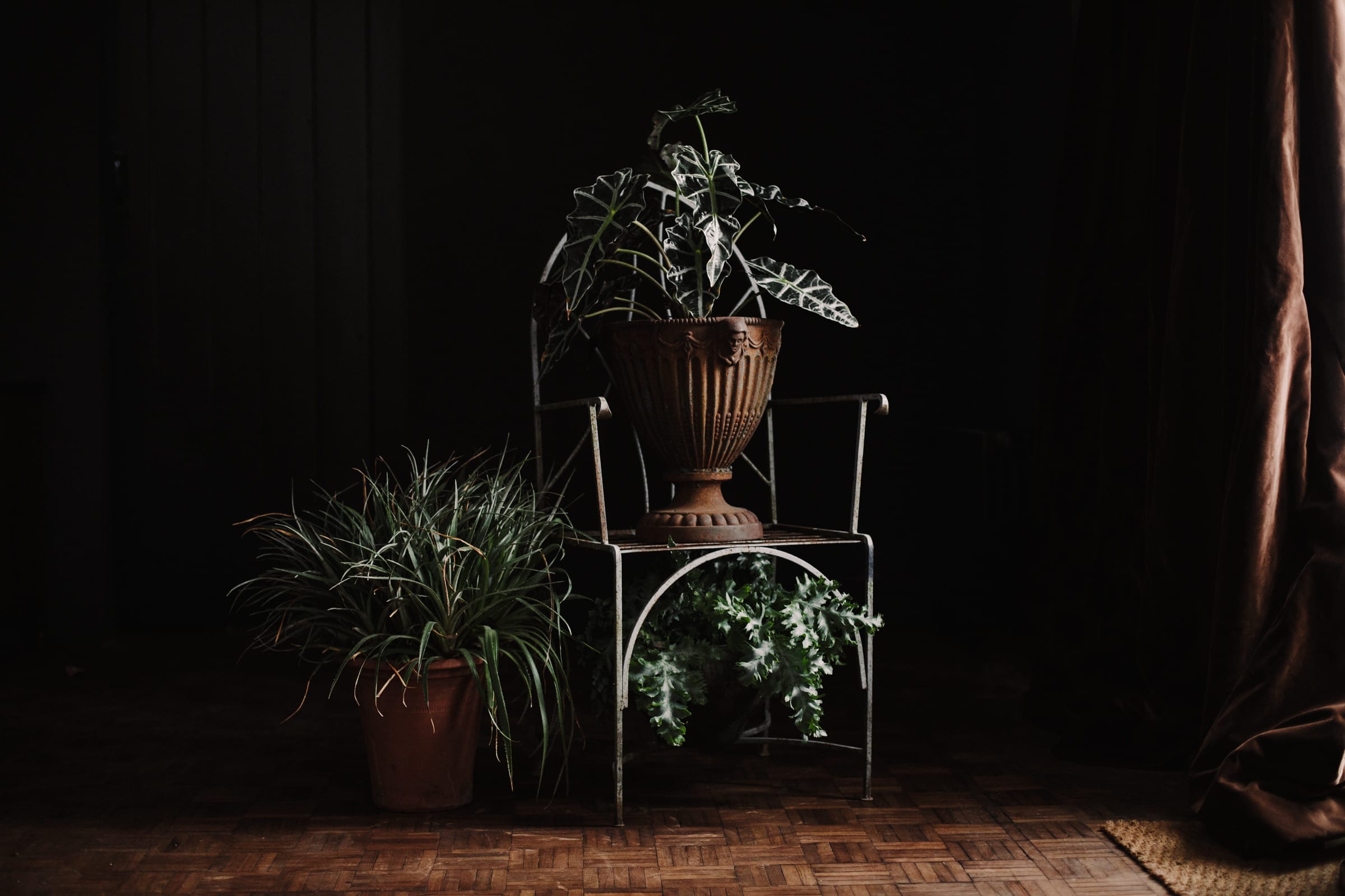 Weathered Cast Iron Garden Urn Planter