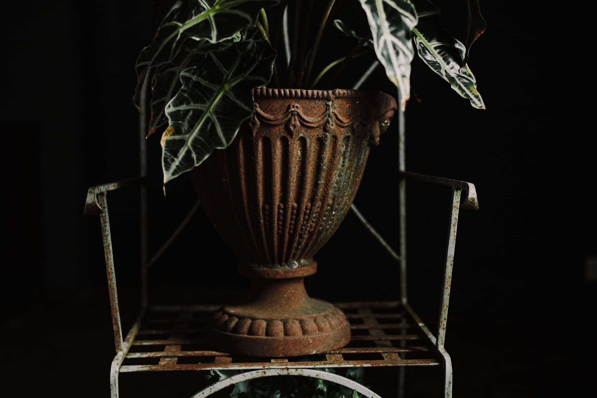 Weathered Cast Iron Garden Urn Planter - Image 7