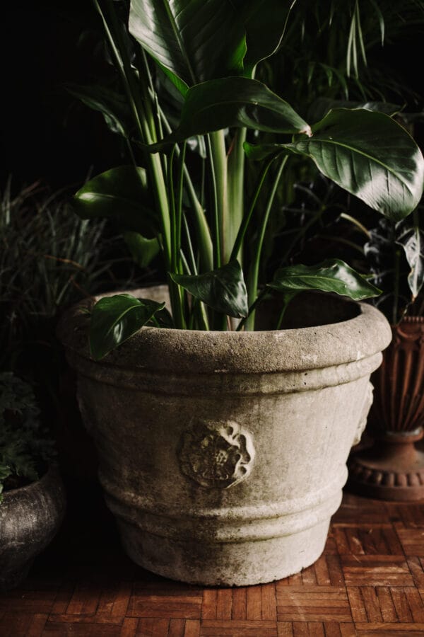 Large Stone Tudor Rose Garden Planter - Image 13