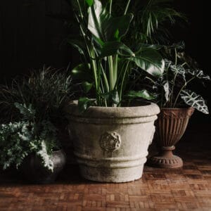 Large Stone Tudor Rose Garden Planter