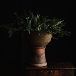 French Country 19th Century Terracotta Deep Planter