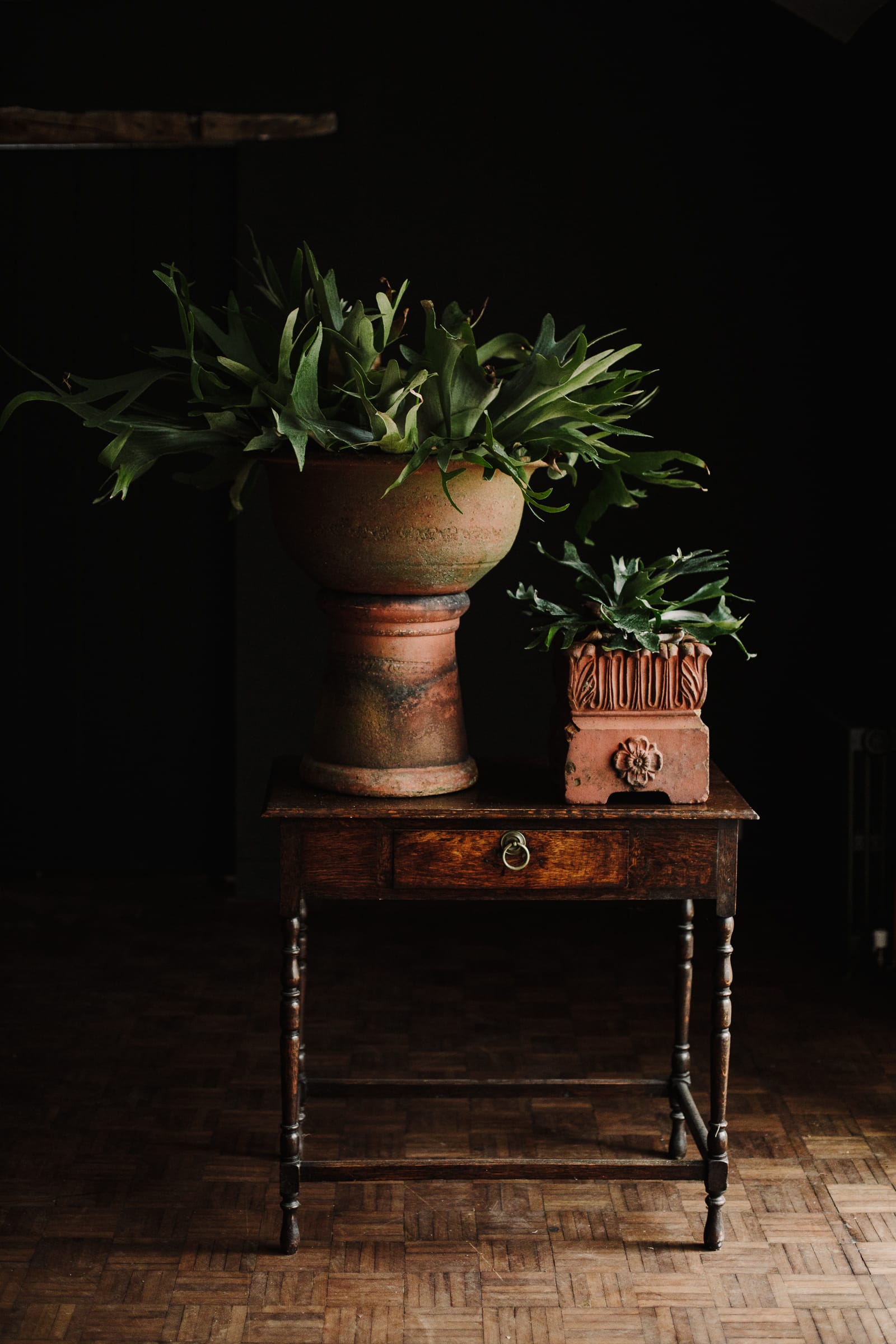 Square 19th Century Tudor Rose Terracotta Planter - Image 12