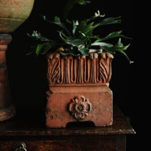 Square 19th Century Tudor Rose Terracotta Planter