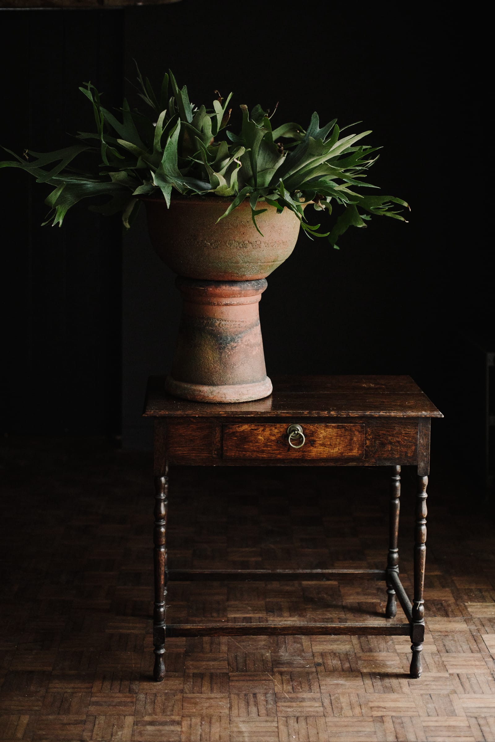 French Country 19th Century Terracotta Deep Planter - Image 4