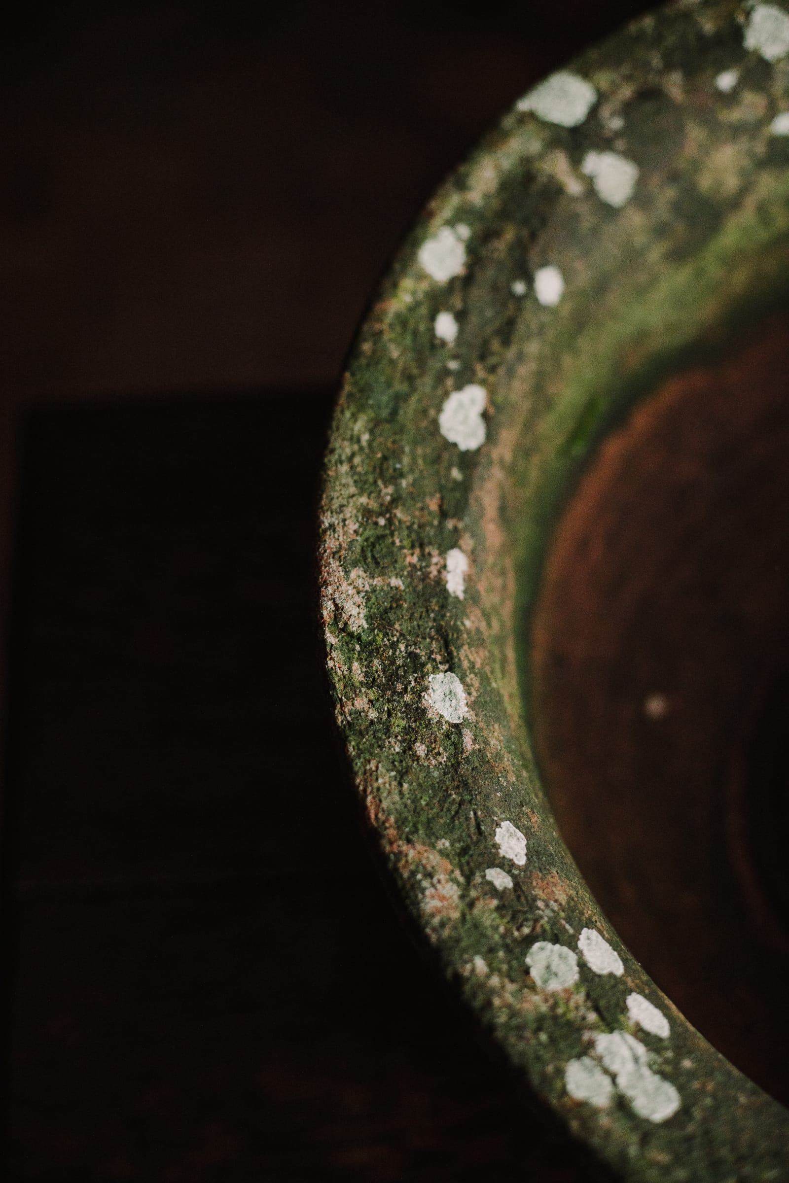 French Country 19th Century Terracotta Deep Planter - Image 8