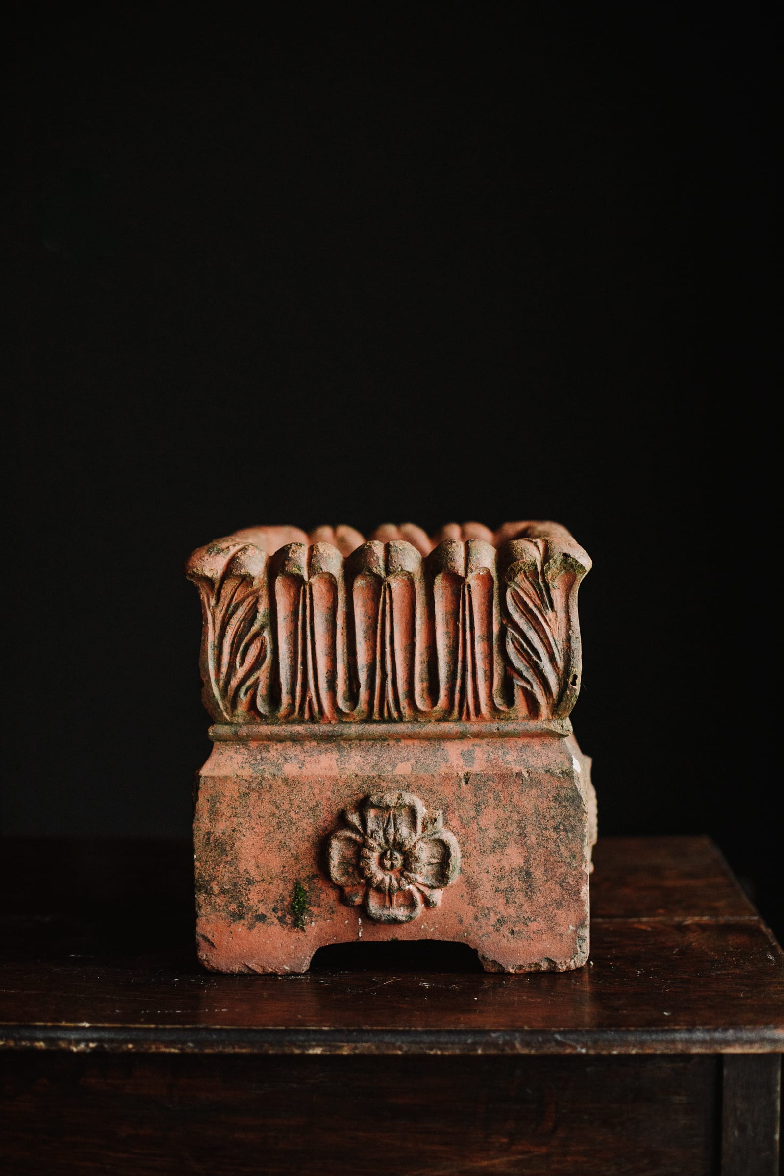 Square 19th Century Tudor Rose Terracotta Planter - Image 10