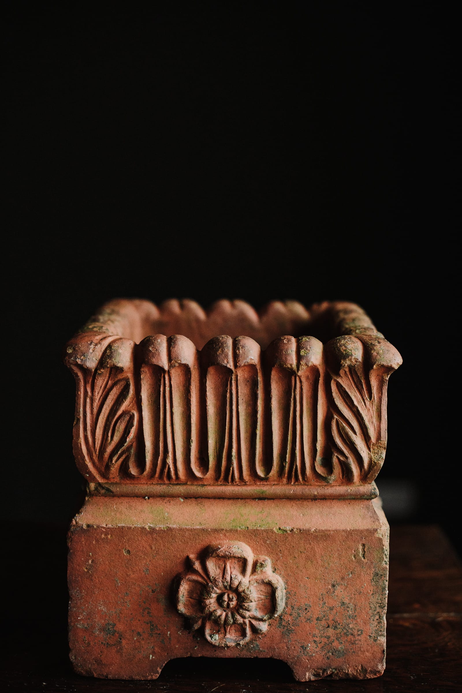 Square 19th Century Tudor Rose Terracotta Planter - Image 7