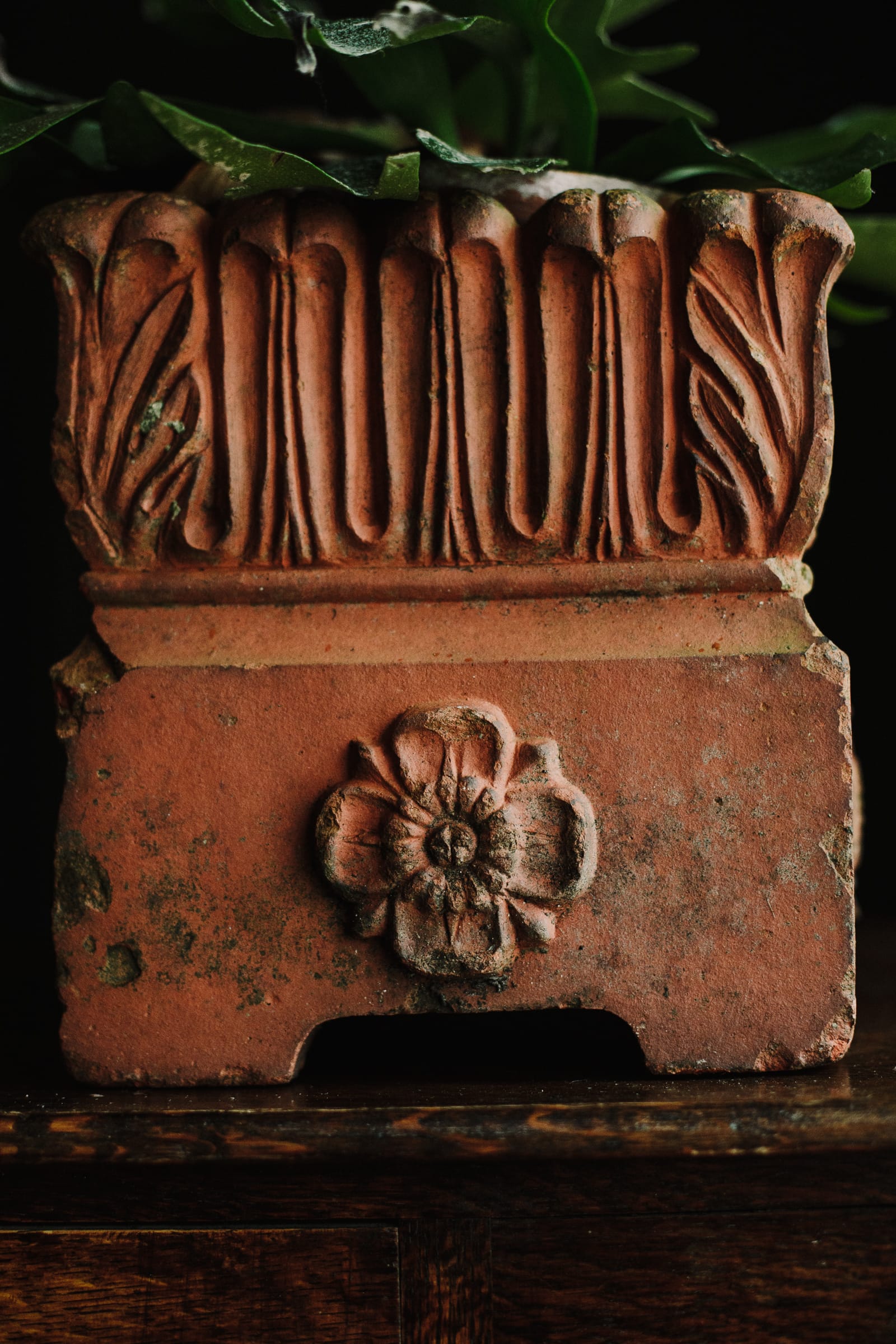Square 19th Century Tudor Rose Terracotta Planter - Image 11