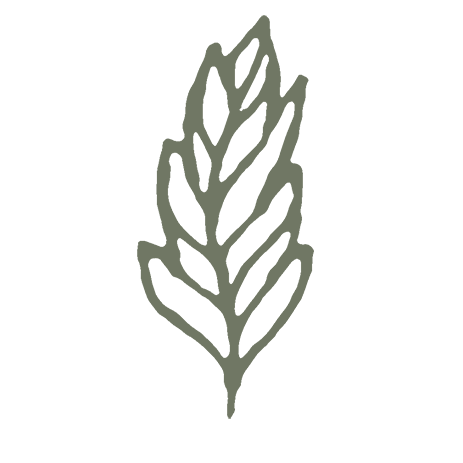 Leaf Green 4