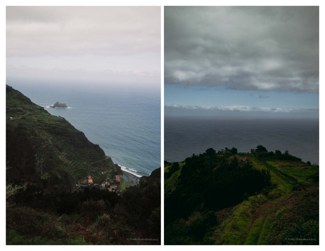 Sao Vicente, Madeira