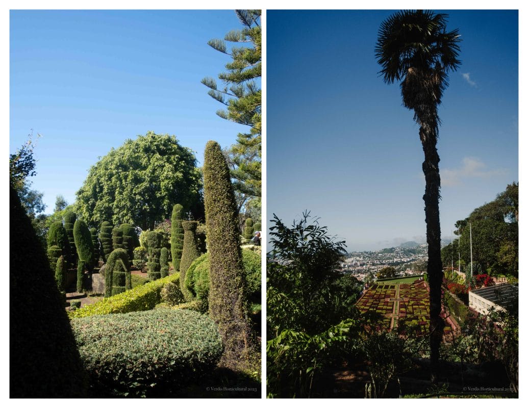 Funchal Botanical Gardens, Madeira