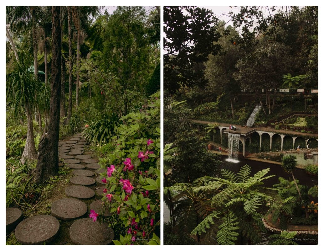 Monte Palace, Madeira