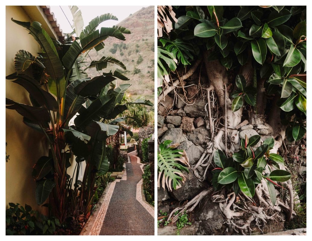 Jardim Do Mar, Madeira