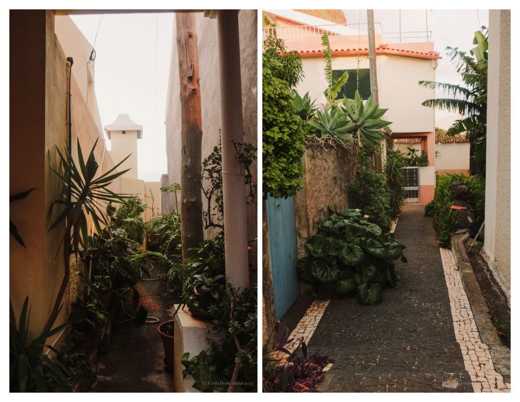 Jardim Do Mar, Madeira