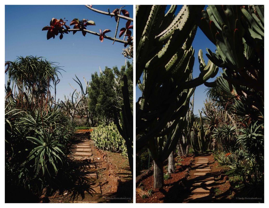 Funchal Botanical Gardens, Madeira