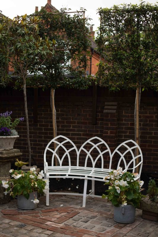 garden design gardening pleached laurels bench garden fence