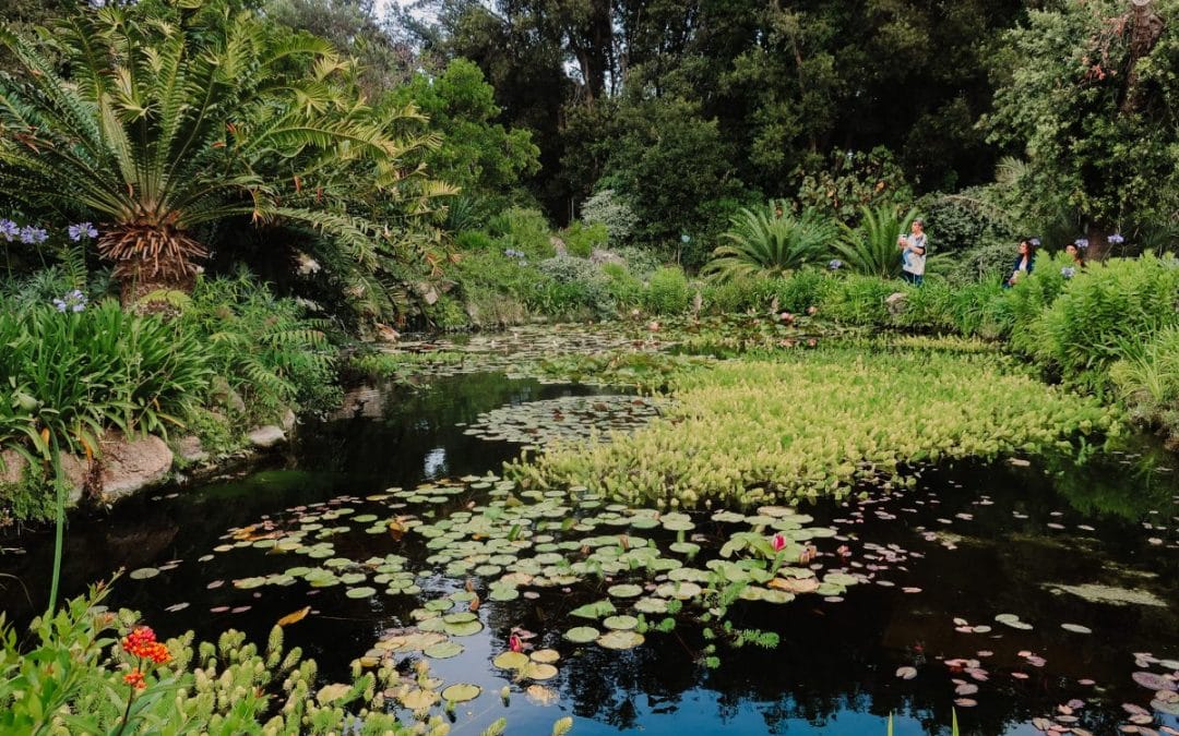Exploring the Botanics of the Amalfi Coast
