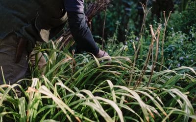 The 8 Best Questions to Ask When Hiring a Gardener