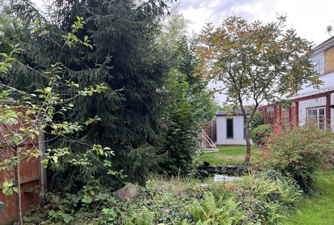 garden renovation before