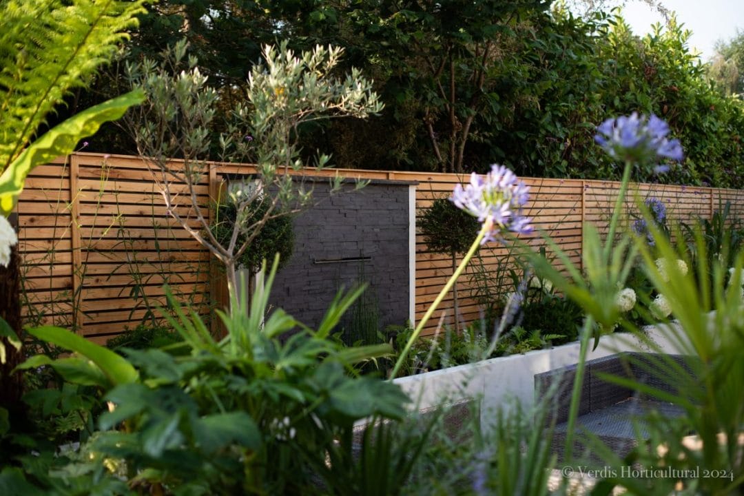 West End garden renovation water feature patio outdoor seating fountain flower bed raised beds olive tree