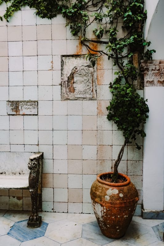 Amalfi coast italy patio plant tree bench architecture tiles sculpture garden