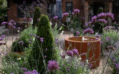 How to Create a Wildlife-Friendly Luxury Garden