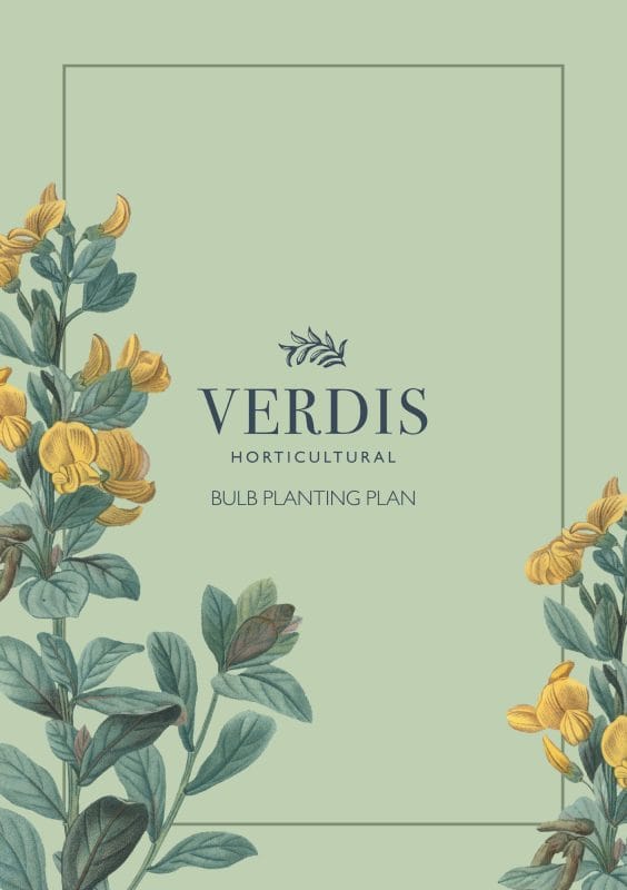 Bulb Planting Plan