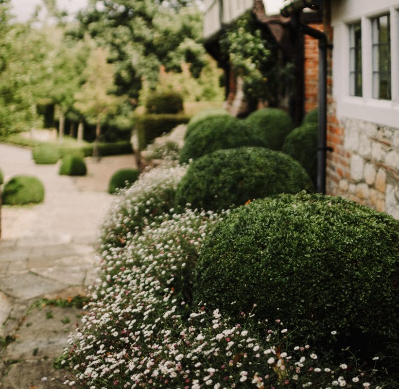 gardening garden design landscaping topiary