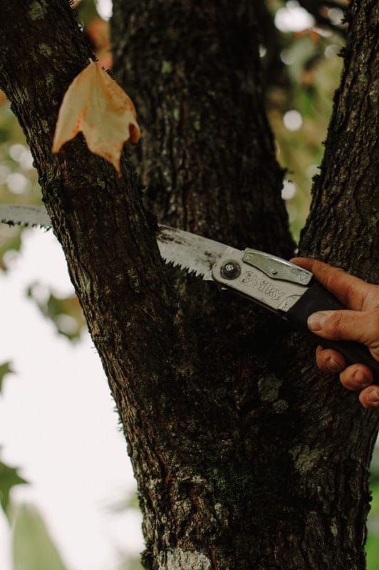 gardening garden design landscaping tools folding saw