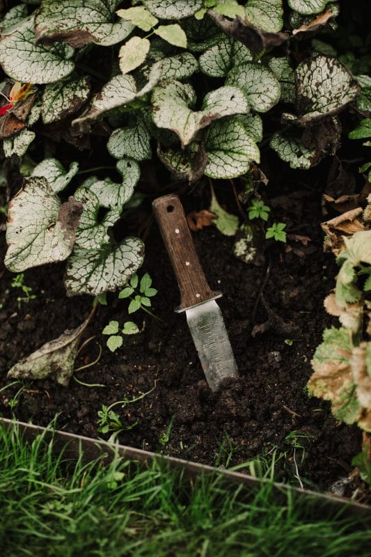 gardening garden design landscaping flower bed hori hori