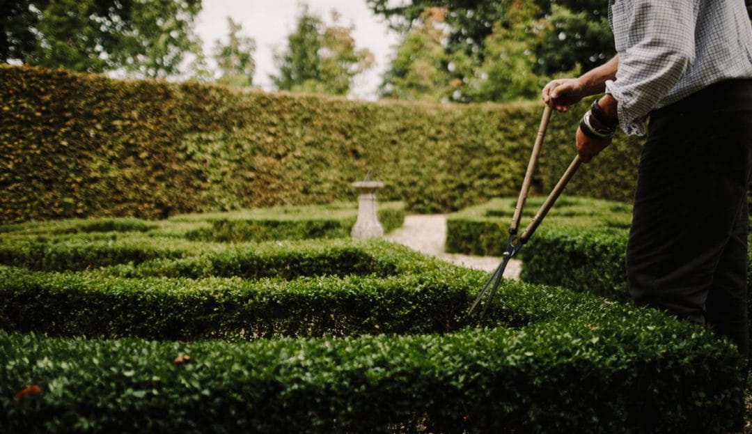 gardening garden design landscaping topiary sheers