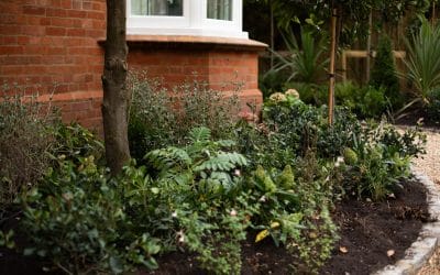 How to Identify Your Soil Type and Choose the Perfect Plants for Your Garden