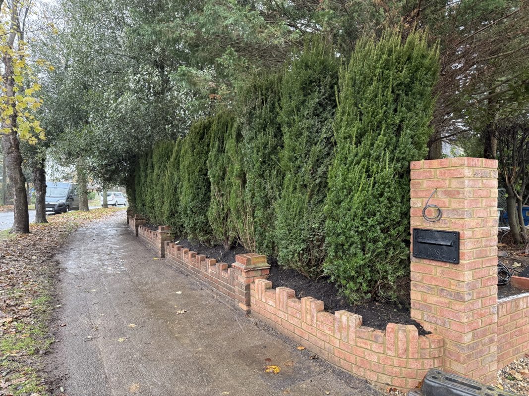 gardening garden design landscaping hedge living fences