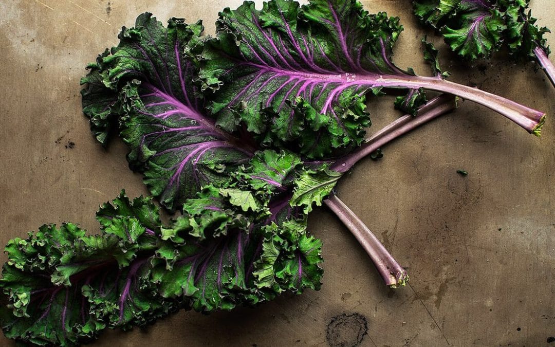 Exploring Edimental Plants: The Perfect Blend of Beauty and Nutrition