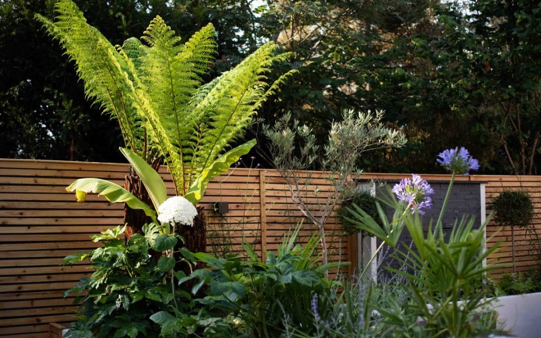 gardening garden design landscaping wellness gardens raised bed fountain water feature palm tree alliums