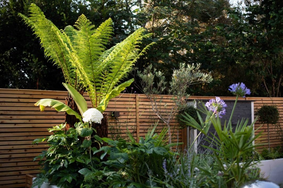 gardening garden design landscaping wellness gardens raised bed fountain water feature palm tree alliums