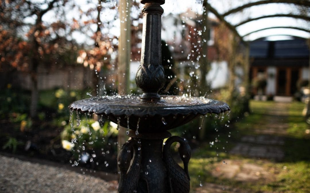 Enhancing your garden with water features