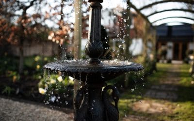 Enhancing your garden with water features