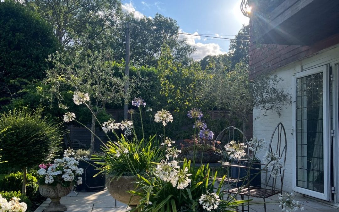 June Garden Checklist
