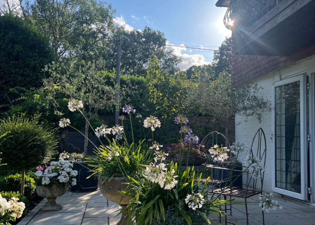 Low Maintenance Garden gardening garden design landscaping Surrey low maintenance gardens container gardening plant pots