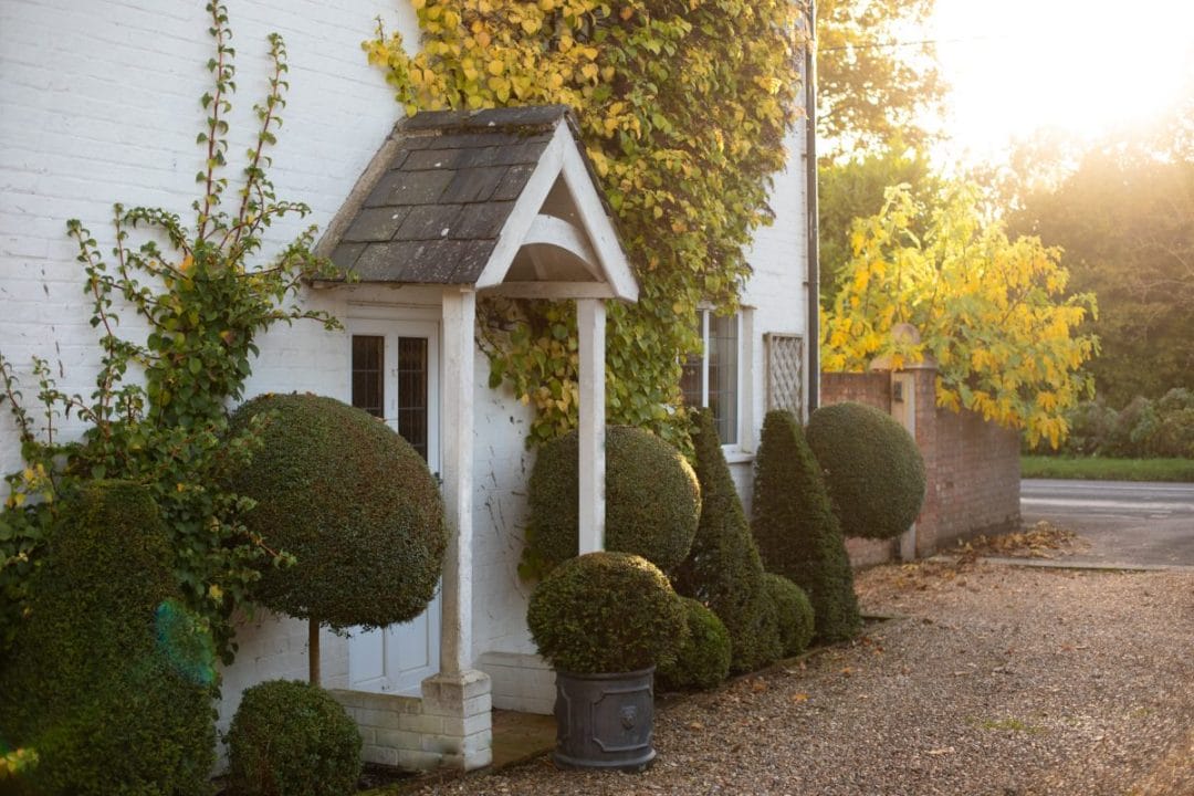 gardening garden design landscaping Surrey our favourite plants structural planting