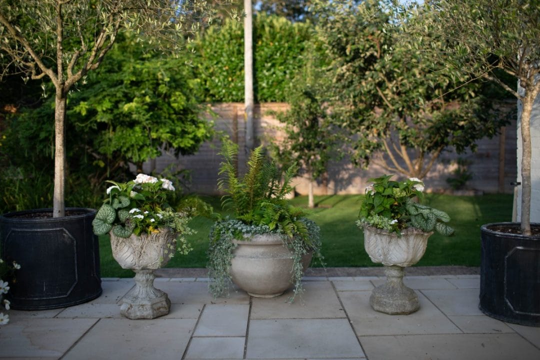 gardening garden design landscaping Surrey may gardening tips