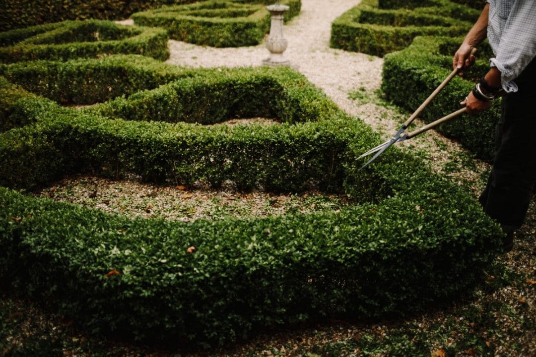 gardening garden design landscaping Surrey classic English garden topiary