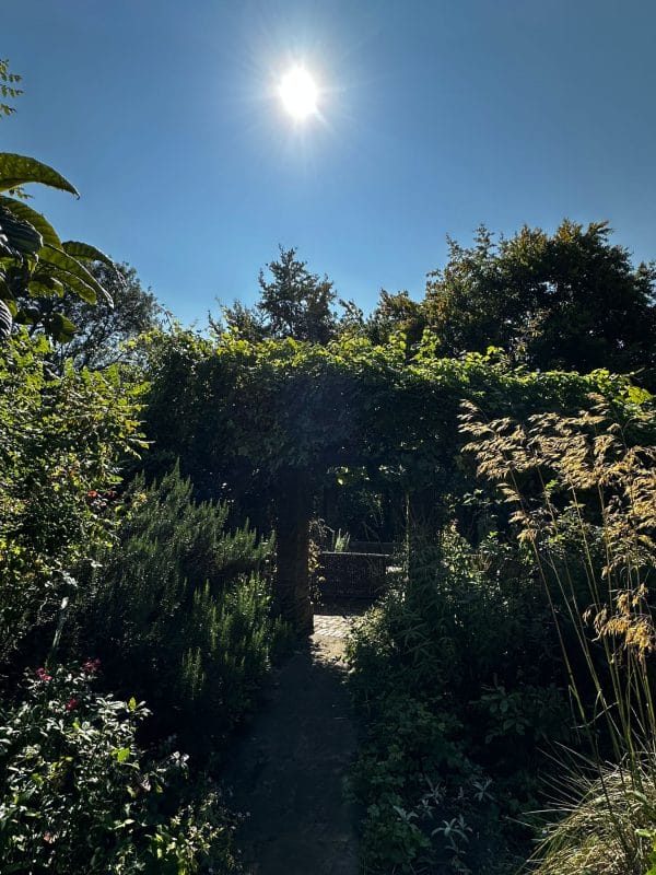 gardening garden design landscaping Surrey English countryside garden inspiration blog post