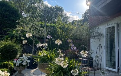 Creating a Classic English Formal Garden