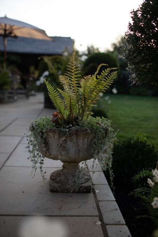 gardening garden design landscaping Surrey planter flowers patio wildlife friendly garden